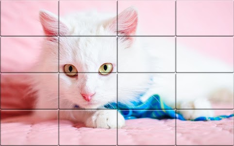 Tile Puzzle Cats 1.47 screenshot 2