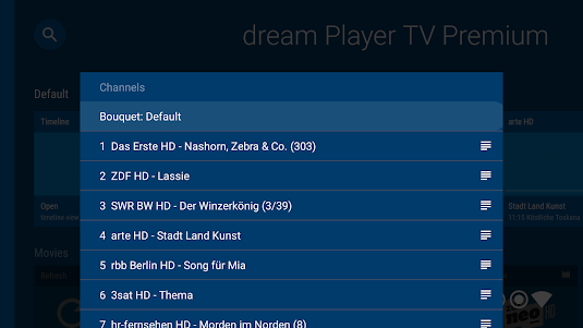dream Player IPTV for TV 10.1.3 screenshot 13