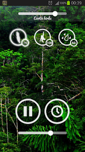 Forest Sounds - Nature & Sleep  screenshot 6