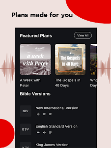 Bible - Audio & Video Bibles 3.12.1 screenshot 17