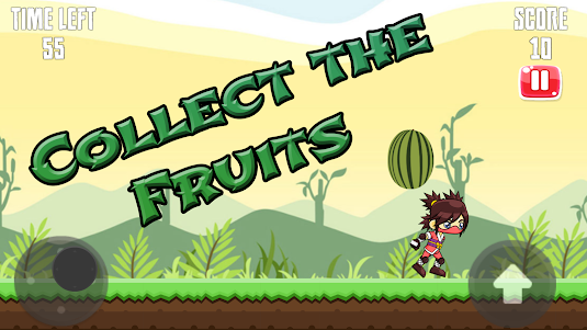 Ninja Fruit Hero 1.0 screenshot 2