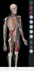 Essential Anatomy 5 1.3.0 screenshot 7