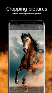 Horse Wallpapers PRO 5.7.4 screenshot 4