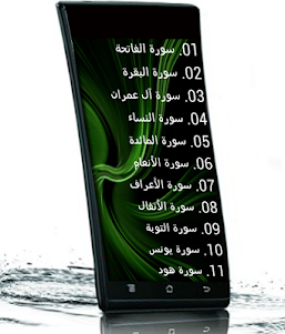 Ali Thabet Holy Coran (MP3) 2.0 screenshot 2