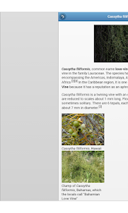 Parasitic Plants 7.1.2 screenshot 11